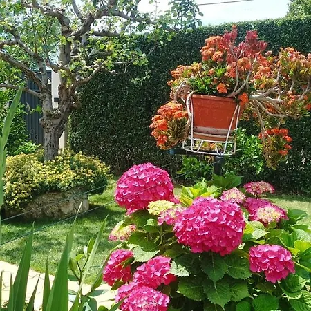 Hébergement de vacances Davorka With Garden And Barbecue *